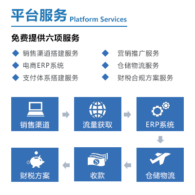 Platform services 