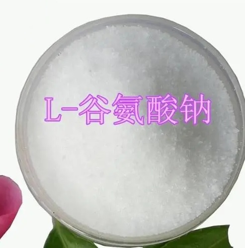 谷氨酸钠MONOSODIUM GLUTAMATE