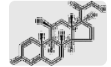 泼尼松龙PREDNISOLONE