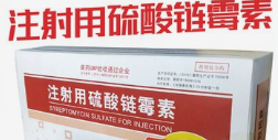 硫酸链霉素STREPTOMYCIN SULPHATE