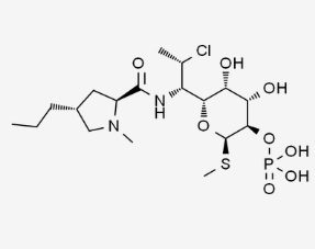 克林霉素磷酸酯CLINDAMYCIN PHOSPHATE