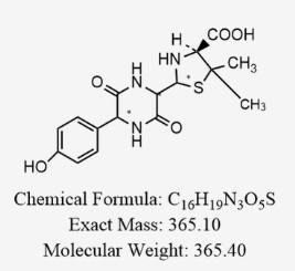 阿莫西林重粉AMOXICILLIN TRIHYDRATE COMPACTED