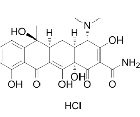 盐酸四环素TETRACYCLINE HYDROCHLORIDE 